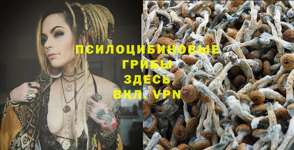 мяу мяу мука Белоозёрский