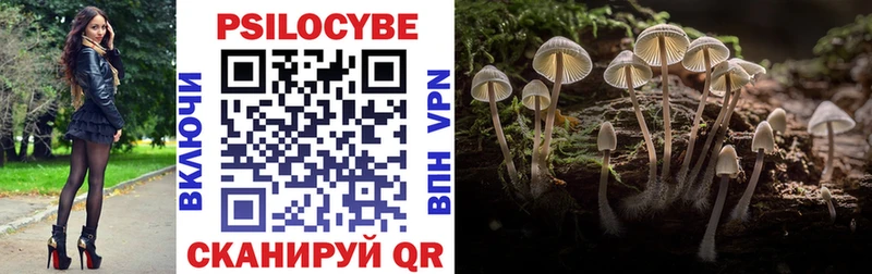Псилоцибиновые грибы прущие грибы  Нарьян-Мар 